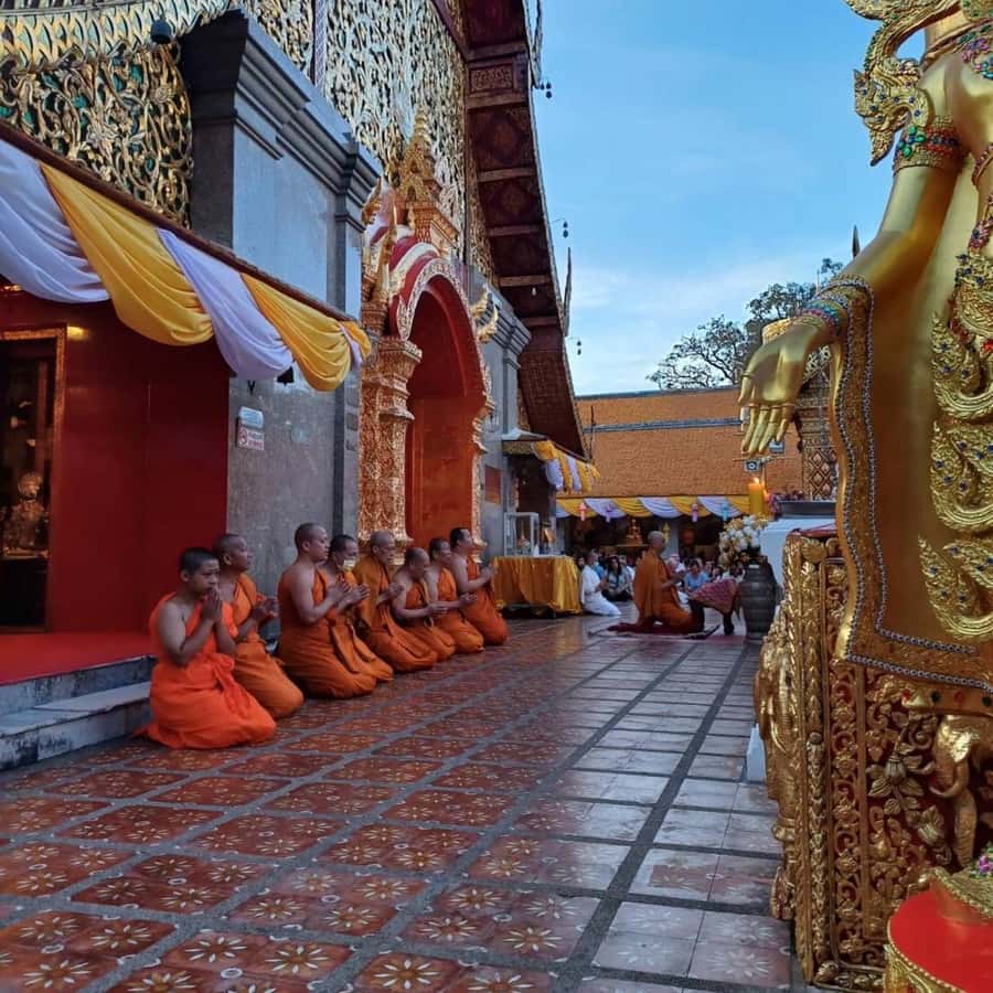 From Chiang Mai: Temples, Sticky Waterfall, and Orchid Farm - Who this tour suits best (and who may want a different plan)