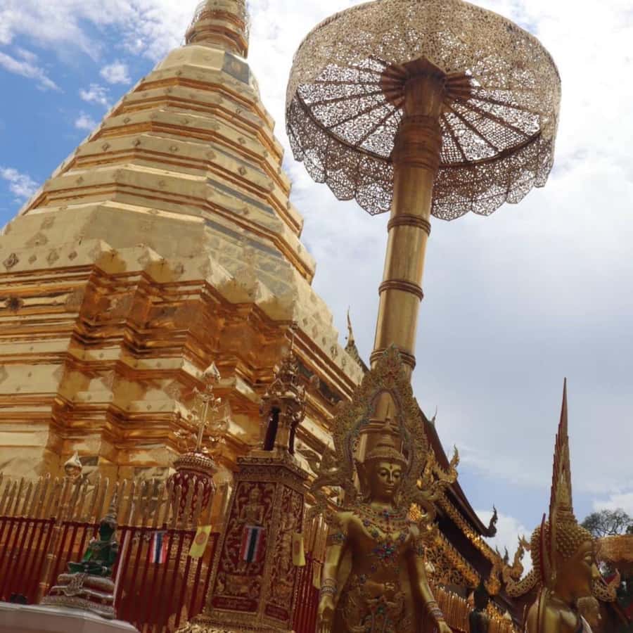 From Chiang Mai: Temples, Sticky Waterfall, and Orchid Farm - Orchid and butterfly farm: more than pretty pictures