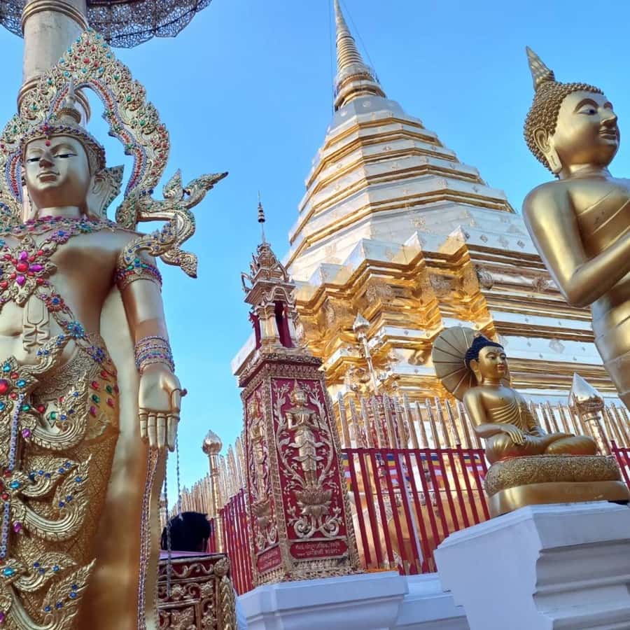 From Chiang Mai: Temples, Sticky Waterfall, and Orchid Farm - Bua Tong Sticky Waterfall: the “climbable” limestone payoff