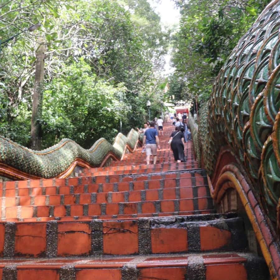 From Chiang Mai: Temples, Sticky Waterfall, and Orchid Farm - Lunch and timing: how the 7–8 hours usually plays out