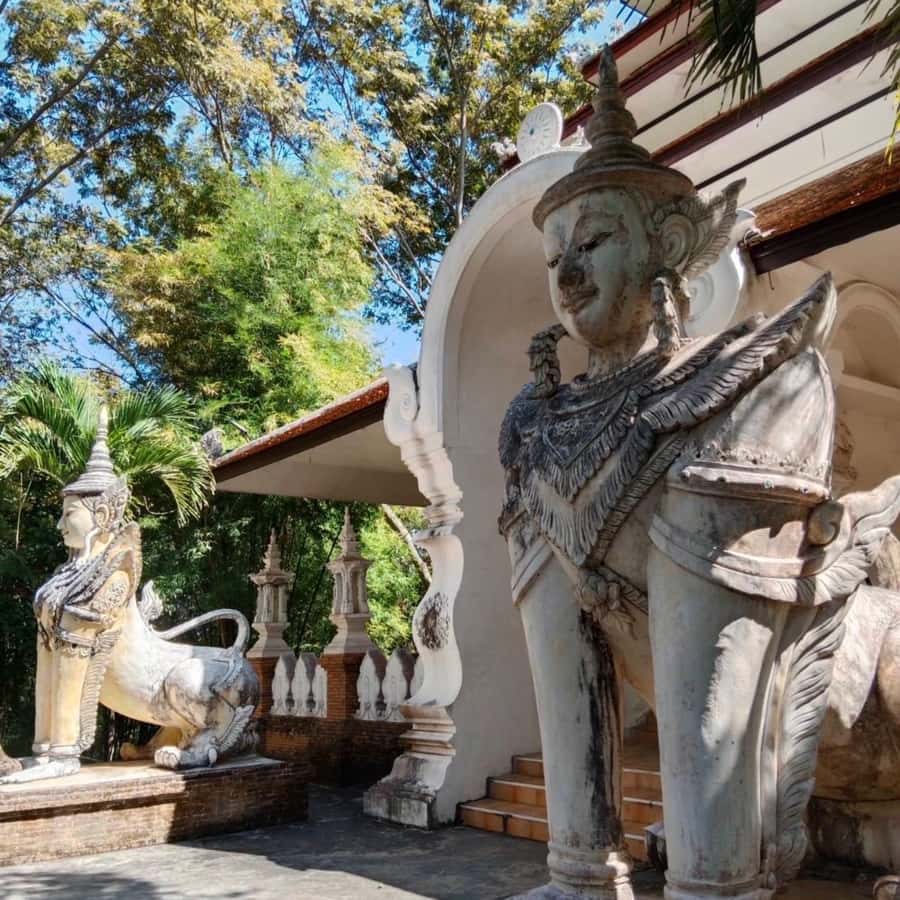 From Chiang Mai: Temples, Sticky Waterfall, and Orchid Farm - What to bring (and what to wear) so the day feels easy