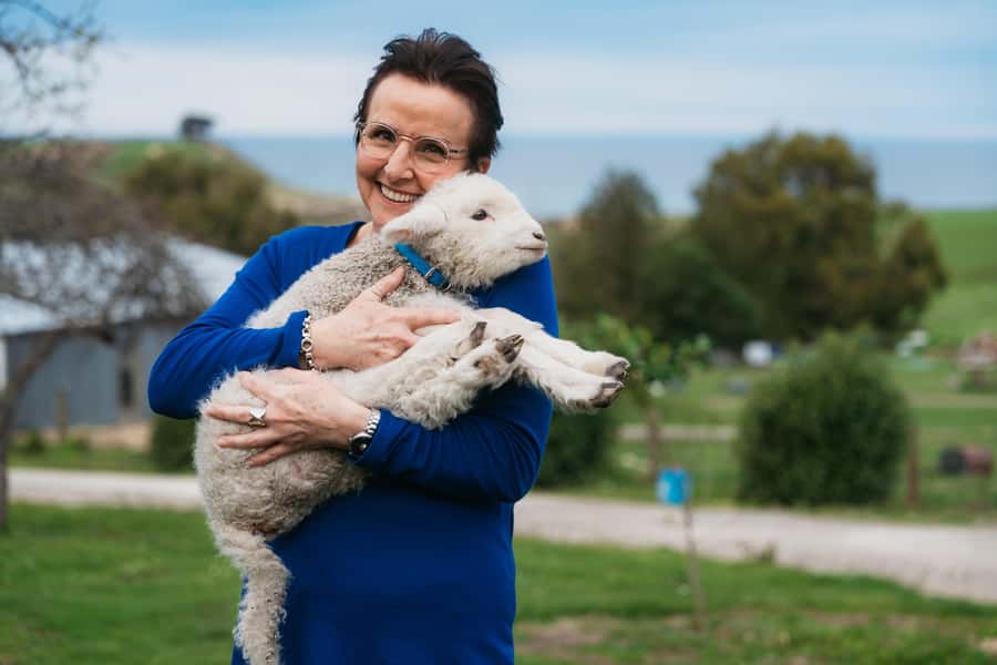 From Christchurch: Sheep Farm Experience with Lunch & Winery - Getting to Glenafric: Christchurch pickup, comfort, and small photo breaks