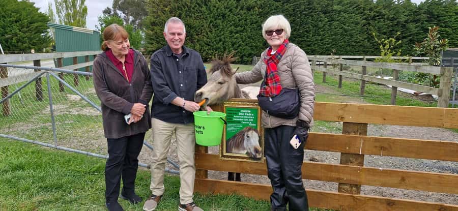From Christchurch: Sheep Farm Experience with Lunch & Winery - Louise’s Lookout picnic lunch: ocean views with real local food