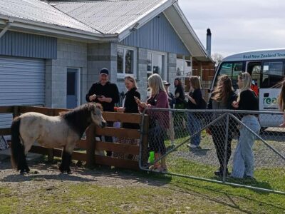 From Christchurch: Sheep Farm Experience with Lunch & Winery - Glenafric farm life: sheep, shearing, woolshed stories, and working dogs