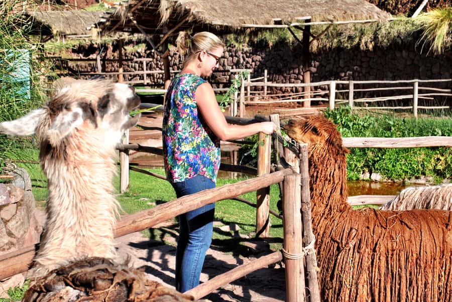 From Cusco: Private Pisac Ruins and Alpaca Farm Day Trip - Morning Pickup and Manos de la Comunidad: A Quick Cultural Pause