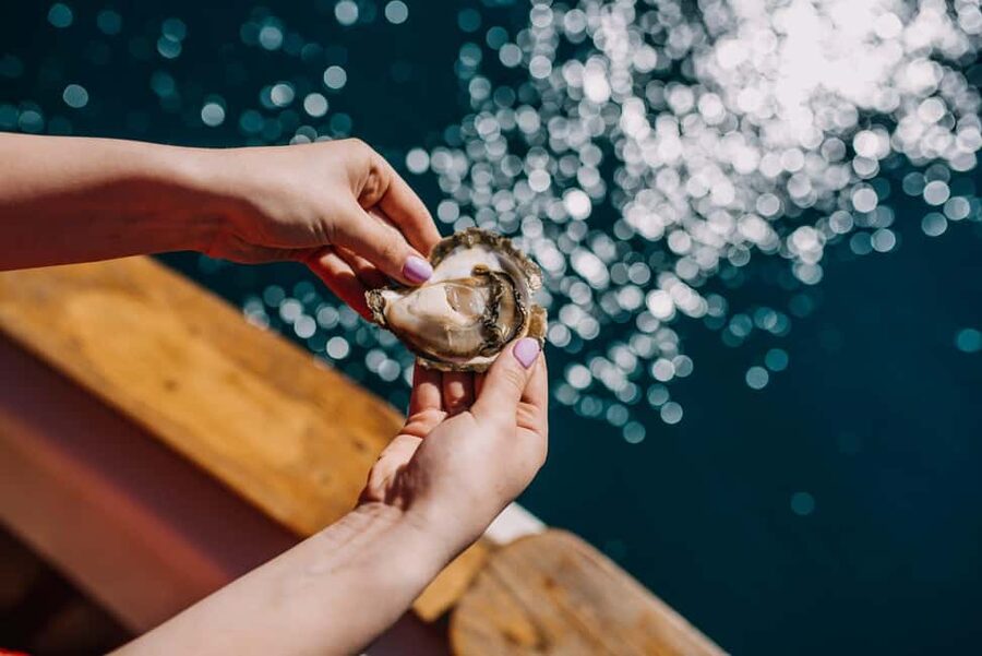 From Dubrovnik: Mali Ston Oysters Farm & Boat Experience - The oyster farming lesson: what you’ll actually learn