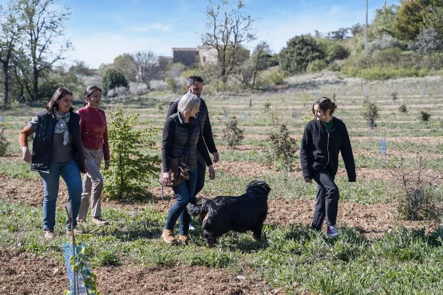 From location: Truffle farm visit, culinary workshop, meal - Stops 1–2: Maison de Garniac truffle farm visit (45 minutes)
