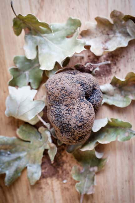 From location: Truffle farm visit, culinary workshop, meal - Price and value: is $200 per person fair?