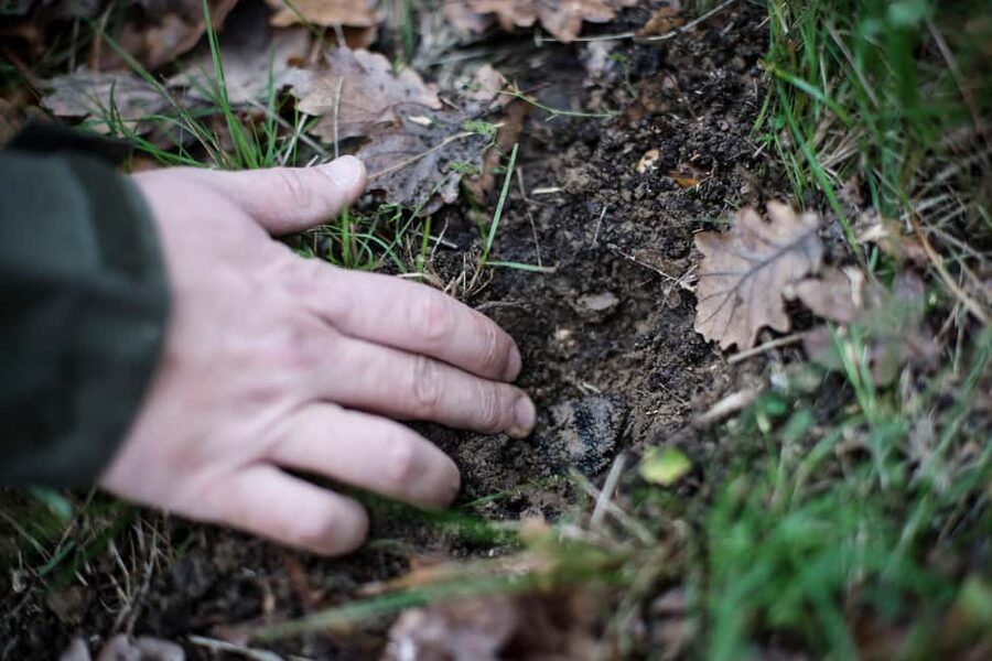 From location: Truffle farm visit, culinary workshop, meal - The 2-hour plan: how the timing works