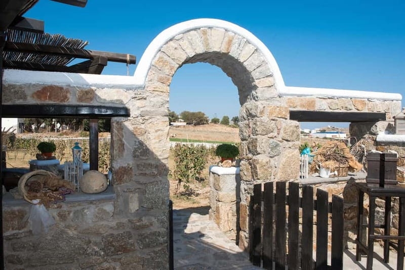 From Mykonos: Ano Mera Farm Tour - Price and Value: Is 53 USD Worth It?