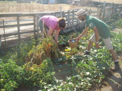 From Mykonos: Ano Mera Farm Tour - Getting There From Your Hotel (and Why It Matters)