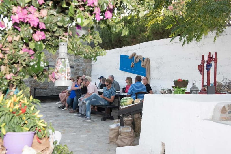 From Mykonos: Ano Mera Farm Tour - The Snack Table: Local Bites You’ll Actually Understand