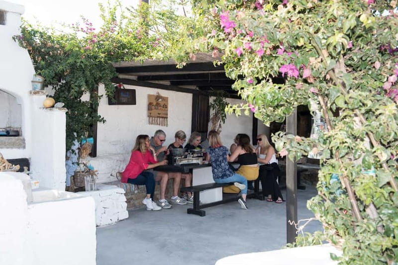 From Mykonos: Ano Mera Farm Tour - Hands-On Farming Tasks: Your Choose-Your-Level Moment