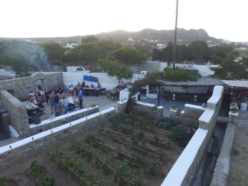 From Mykonos: Ano Mera Farm Tour - The Tone: Authentic, Small, and Mostly Relaxing