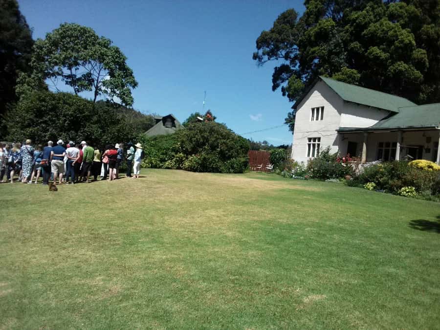 From Nairobi: Kiambethu Tea Farm Tour & Lunch - Indigenous Forest Time: Your Best Shot at Colobus Monkeys