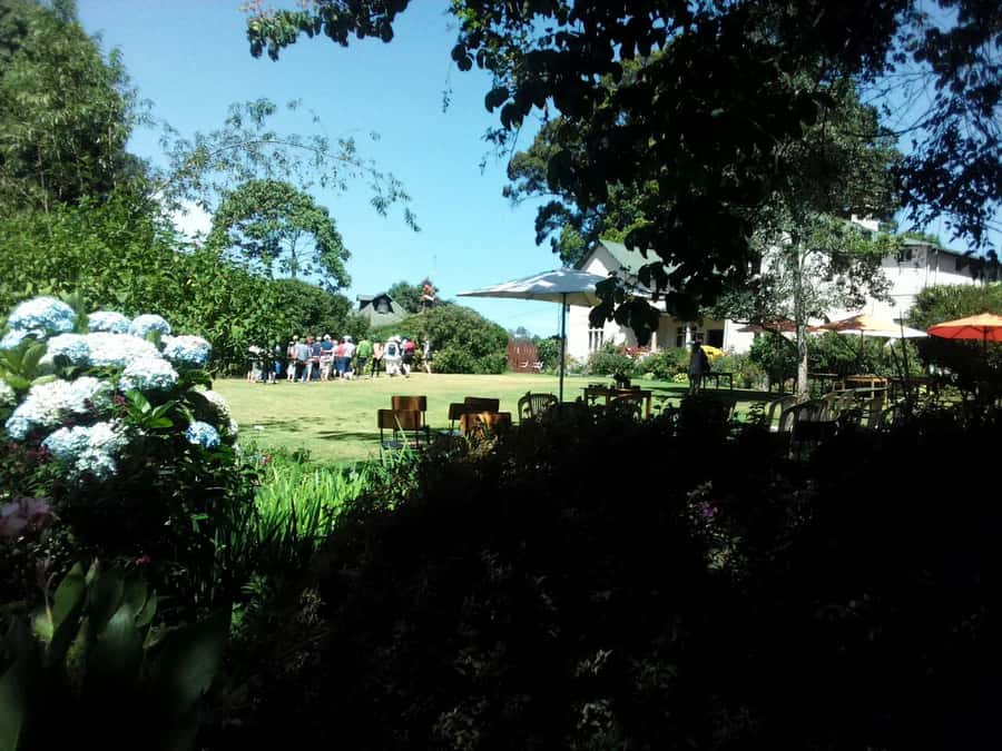 From Nairobi: Kiambethu Tea Farm Tour & Lunch - Who This Tour Suits Best (And Who Might Feel It’s Too Small)