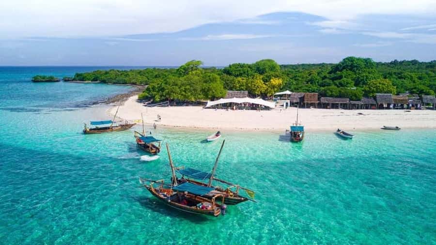 FROM NUNGWI: STONE TOWN, SPICE FARM TOUR AND PRISONAL ISLAND - The Spice Farm: Smell, Taste, and the Real Jobs Spices Do