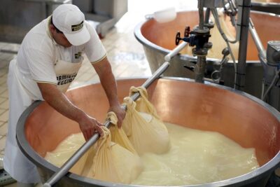 From Parma: Parmigiano Reggiano Farm Tour & Tasting with Transfer - Why Parmigiano-Reggiano is tied to specific provinces