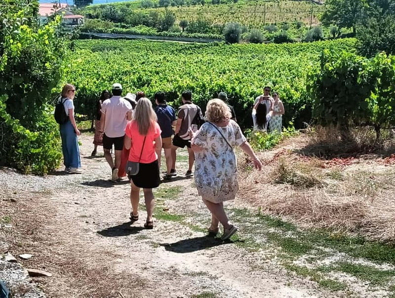From Porto: 2 Wine Regions, Farm Lunch, and Boat Ride - Key highlights to look for
