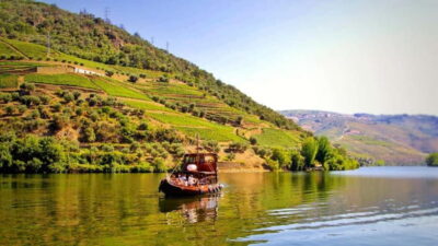 From Porto: 2 Wine Regions, Farm Lunch, and Boat Ride - The road journey: viewpoint stops that don’t feel wasted