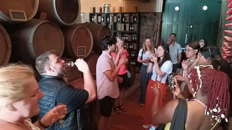 From Porto: 2 Wine Regions, Farm Lunch, and Boat Ride - Two estates, two styles: DOC and Port without the confusion