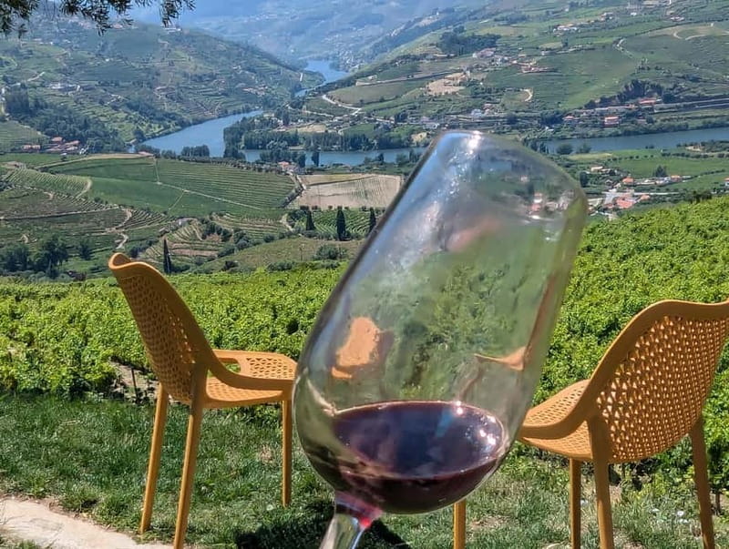 From Porto: 2 Wine Regions, Farm-to-Table Lunch & Boat - The Vintage Porto Fire Ritual: A Certified Sommelier Moment