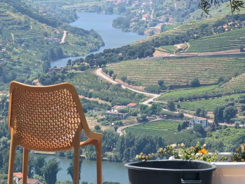 From Porto: 2 Wine Regions, Farm-to-Table Lunch & Boat - Pinhão Private Boat Cruise: 1 Hour on the Douro with Drinks