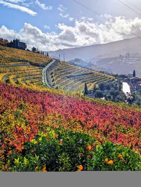 From Porto: 2 Wine Regions, Farm-to-Table Lunch & Boat - Price and Logistics: Is This $94 Wine Day Trip Actually Good Value?