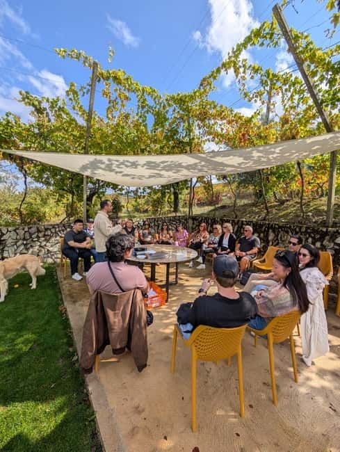 From Porto: 2 Wine Regions, Farm-to-Table Lunch & Boat - Should You Book 2 Wine Regions, Farm-to-Table Lunch & Boat?