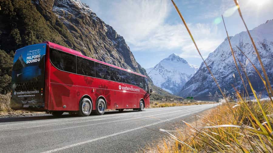 From Queenstown: Coach, Farm Tour & Milford Nature Cruise - Should You Book This Coach + Farm + Milford Sound Combo?
