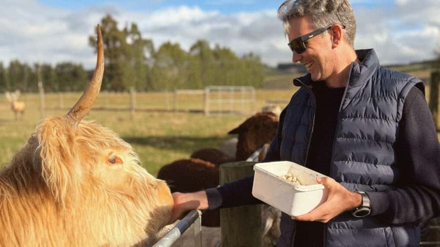 From Queenstown: Coach, Farm Tour & Milford Nature Cruise - Te Anau Working Farm Tour: Sheep Shearing, Dogs, and Feeding Time
