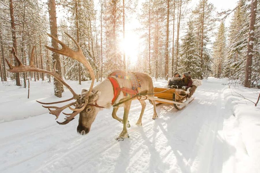 From Rovaniemi: Reindeer Farm Visit with Sleigh Ride - Why This Reindeer Farm Stop Works in Rovaniemi Winter