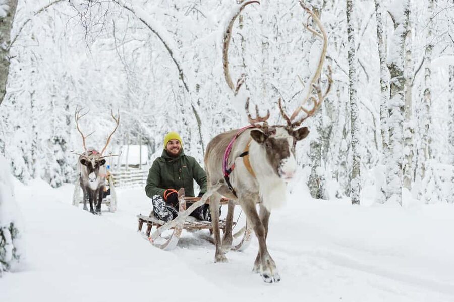 From Rovaniemi: Reindeer Farm Visit with Sleigh Ride - Pickup, Timing, and What the 2-Hour Tour Really Feels Like