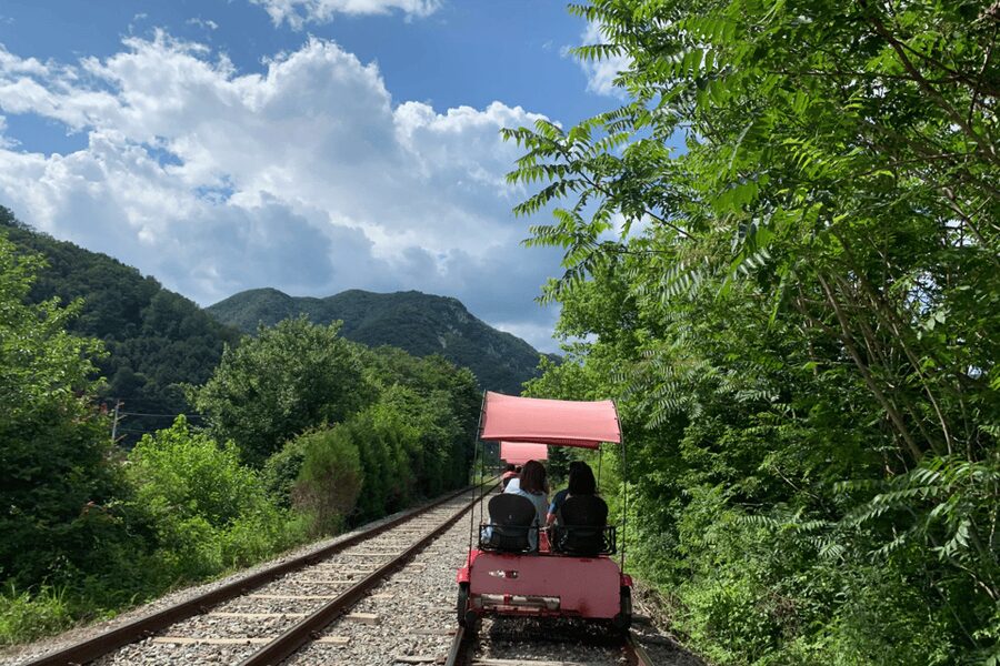 From Seoul: Full Day Trip to Alpaca Farm with Rail Bike - Key Things to Know Before You Go