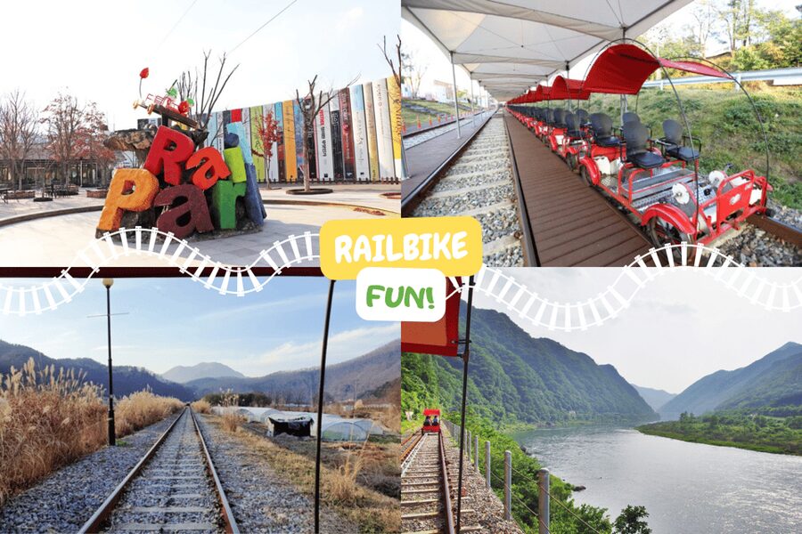 From Seoul: Full Day Trip to Alpaca Farm with Rail Bike - Getting There: Meeting Points and the Realities of a 10-Hour Schedule