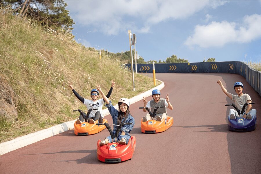 From Seoul: Full Day Trip to Alpaca Farm with Rail Bike - Alpaca World in Gangwon: Feeding, Strolling, and More Animals Than You Expect