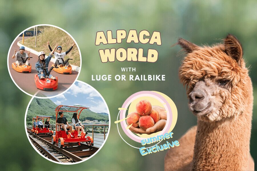 From Seoul: Full Day Trip to Alpaca Farm with Rail Bike - Luge at Vivaldi Park Ski World: Speed With Clear Age Limits