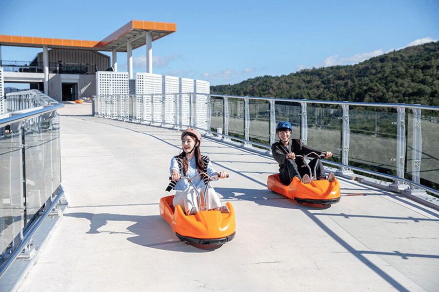 From Seoul: Full Day Trip to Alpaca Farm with Rail Bike - Gangchon Rail Park Rail Bike: A Downhill Ride With River and Mountain Views