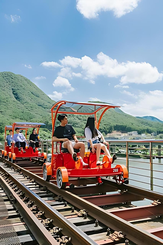 From Seoul: Full Day Trip to Alpaca Farm with Rail Bike - Lunch and Breaks: How to Handle the Food Gap