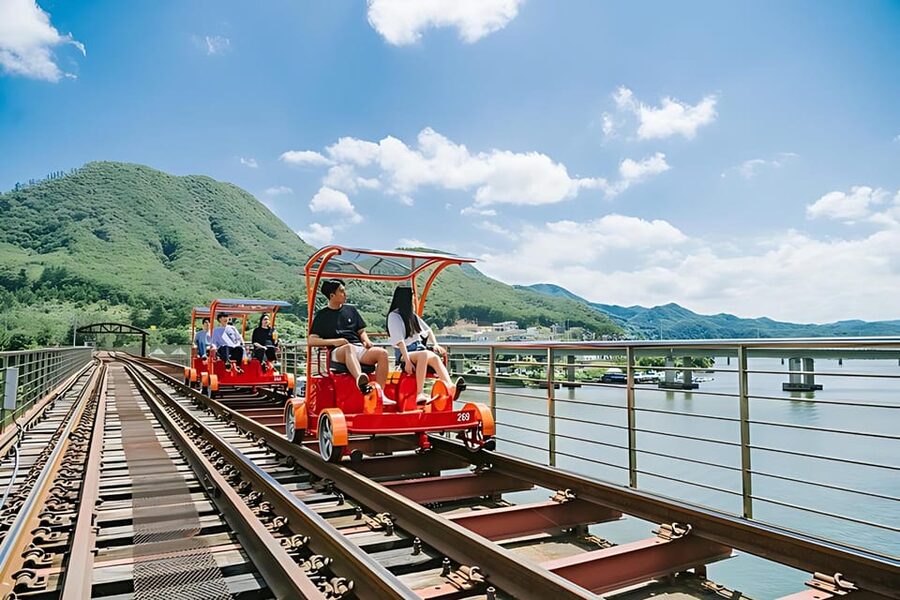 From Seoul: Full Day Trip to Alpaca Farm with Rail Bike - Your Guide Matters: What Rose and David Tend to Bring