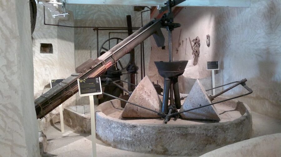 From Seville: Olive Oil Farm Tour - Why This Olive Oil Farm Tour Near Seville Feels Authentic