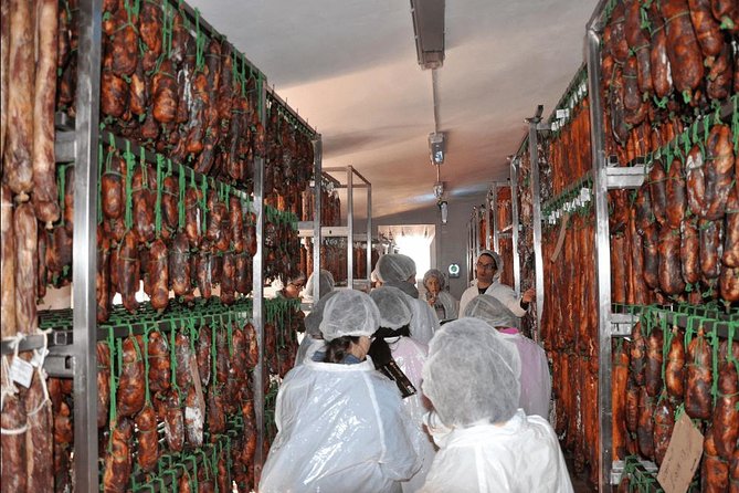 From Seville: Pig Farm private day tour and old villages visit - Who Should Book This (and Who Might Skip It)