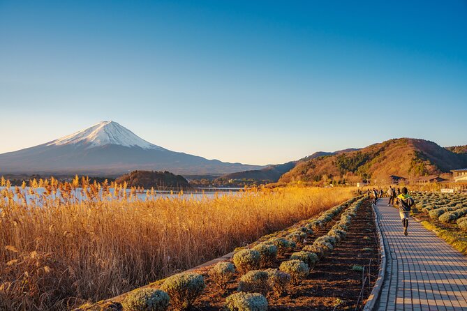 From Tokyo Mt.Fuji, Lake Kawaguchi, Makaino Farm day tour - Tokyo Station to Mt. Fuji: Why This Day Trip Feels Low-Stress