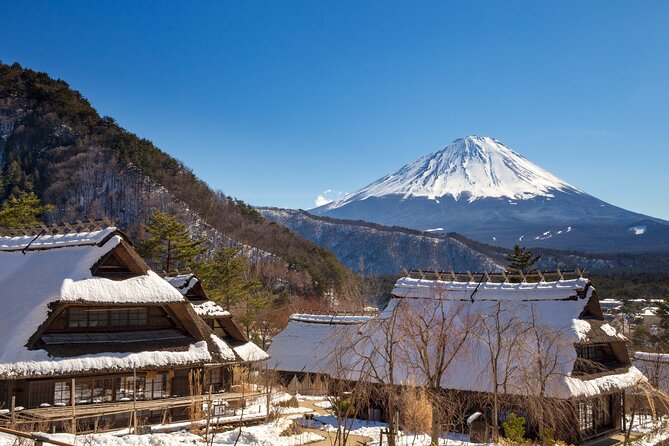 From Tokyo Mt.Fuji, Lake Kawaguchi, Makaino Farm day tour - Price and Value: Is $84.70 Actually Fair?