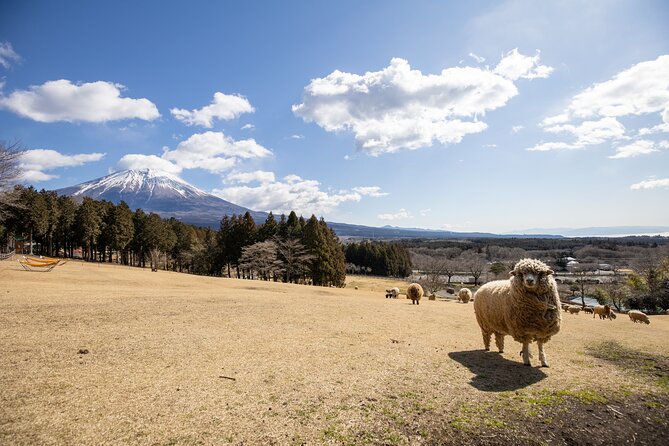 From Tokyo Mt.Fuji, Lake Kawaguchi, Makaino Farm day tour - Timing, Weather, and Getting the Most From Your Day