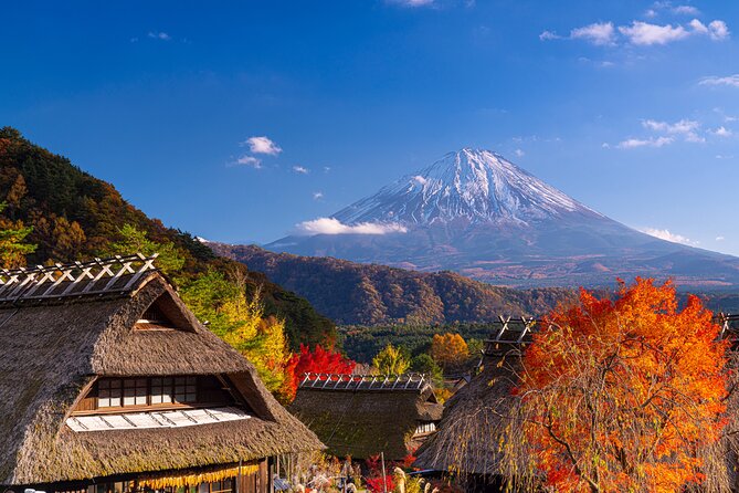 From Tokyo Mt.Fuji, Lake Kawaguchi, Makaino Farm day tour - Finding Your Guide at Tokyo Station: The Small Detail That Saves Time