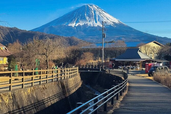 From Tokyo Mt.Fuji, Lake Kawaguchi, Makaino Farm day tour - Who This Tour Fits Best