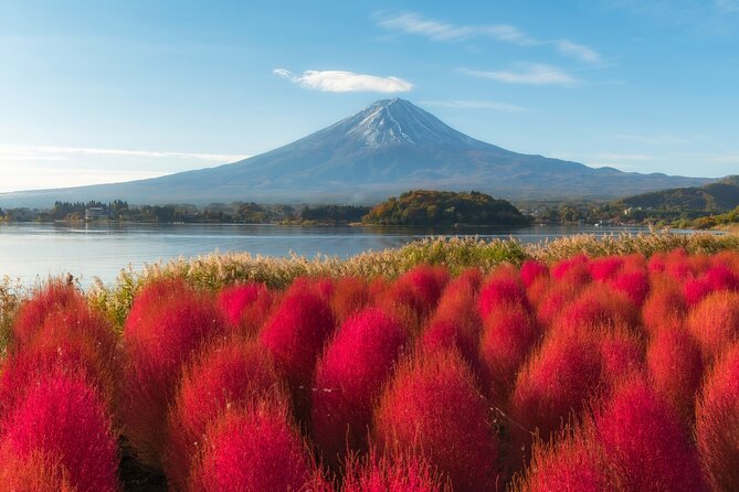 From Tokyo Mt.Fuji, Lake Kawaguchi, Makaino Farm day tour - Saiko Iyashi no Sato Nemba: A Thatched-Village Break from the Road