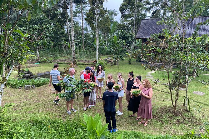From Ubud: Authentic Bali Farm Cooking School & Organic Farm - Key highlights you’ll care about