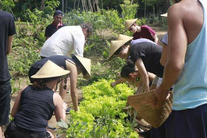 From Ubud: Authentic Bali Farm Cooking School & Organic Farm - Farm picking: using what you grow